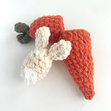Hatching Carrot Plushie - Ready to Ship