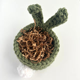 Bunny Basket - Evergreen - Ready to Ship