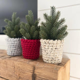 Cozy Pine Tree - Made to Order