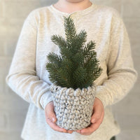 Cozy Pine Tree - Made to Order