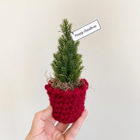 Mini Cozy Trees - Made to Order
